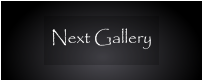 Next Gallery