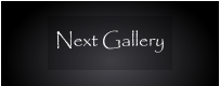 Next Gallery
