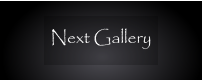 Next Gallery