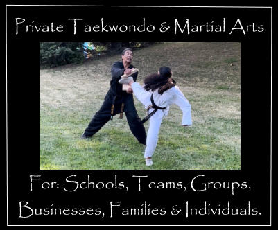 Private Taekwondo & Martial Arts For: Schools, Teams, Groups, Businesses, Families & Individuals.